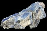 Vibrant Blue Kyanite Crystal - Brazil #80375-1